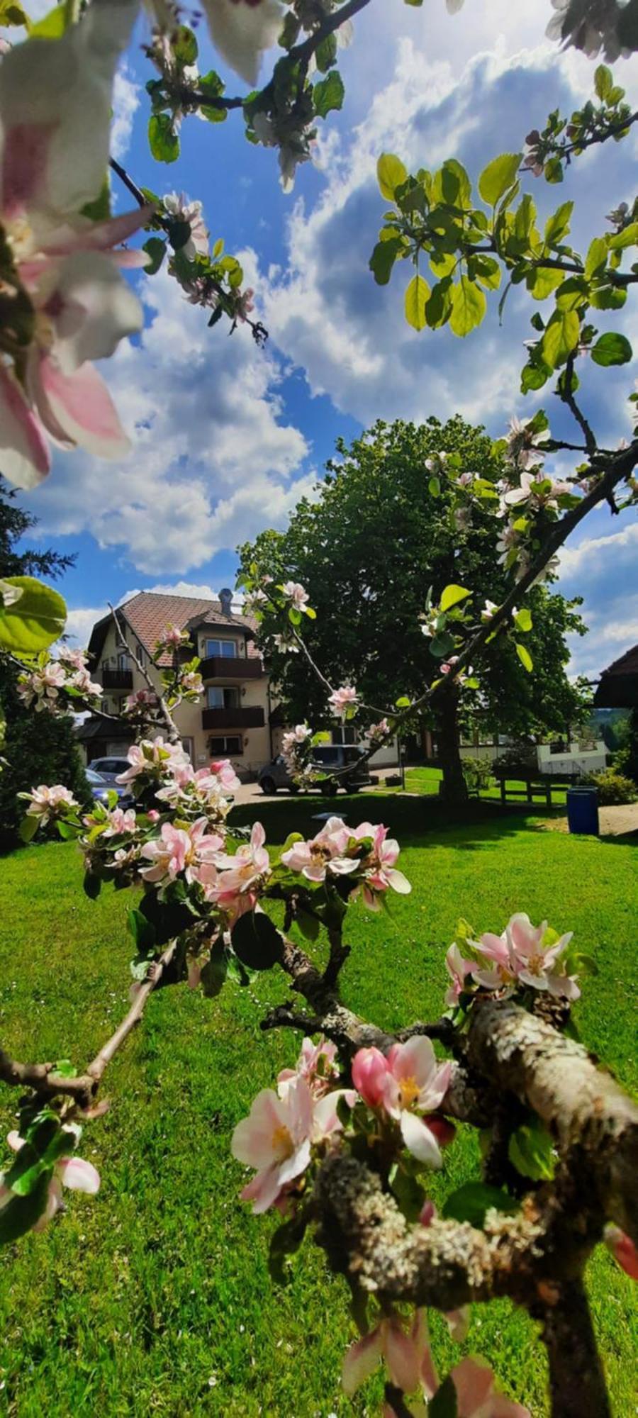 Hotel Gasthof Jaegerhaus 상트피터 외부 사진